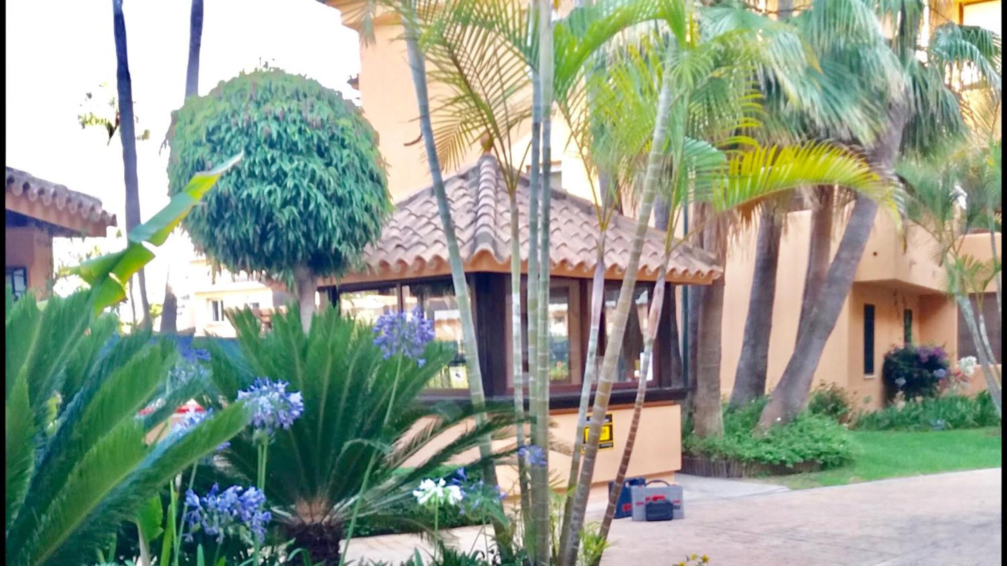 - Alicate Beachfront - 5