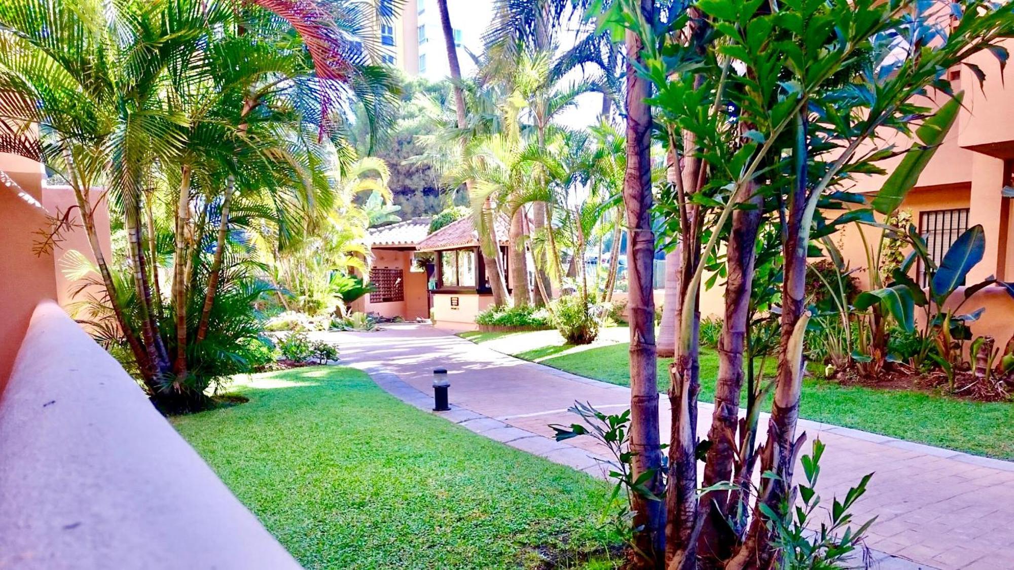 - Alicate Beachfront - 5 *